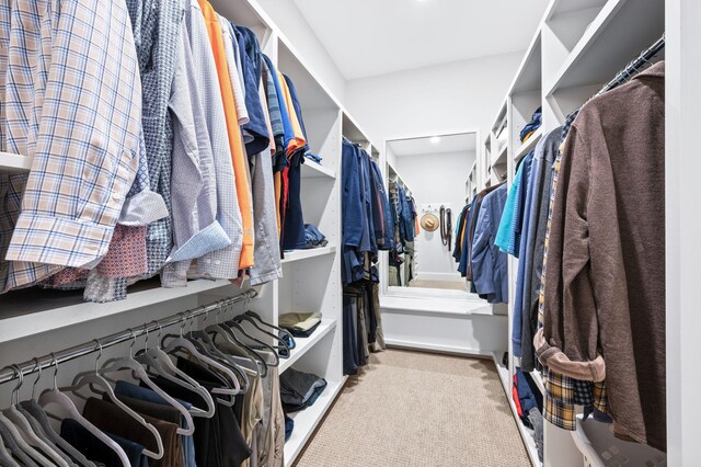 1542 Amesbury Ln, Franklin, TN 37069 - walk in closet with carpet floors