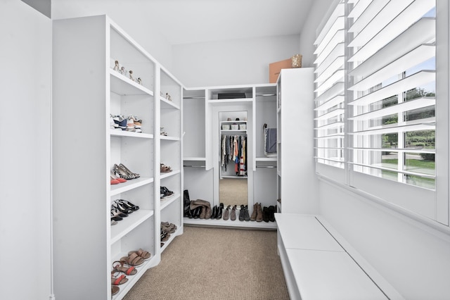 1542 Amesbury Ln, Franklin, TN 37069 - spacious closet featuring carpet flooring