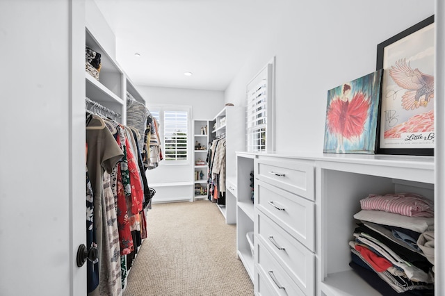 1542 Amesbury Ln, Franklin, TN 37069 - spacious closet featuring carpet floors