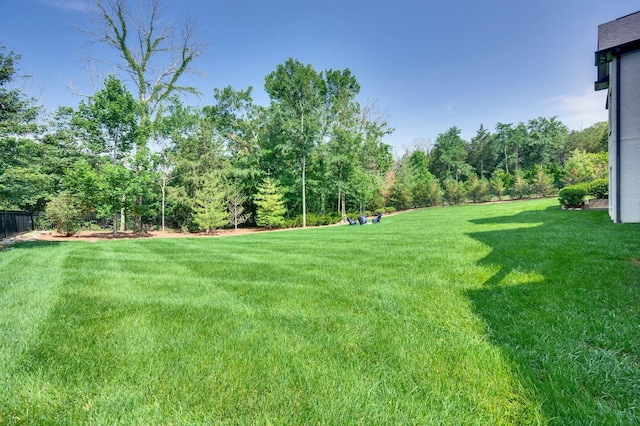 1542 Amesbury Ln, Franklin, TN 37069 - view of yard