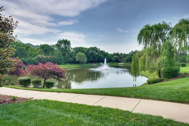 1542 Amesbury Ln, Franklin, TN 37069 - water view