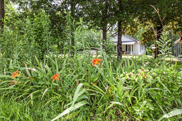 431 Haddon Ln, Winchester, TN 37398 - view of yard
