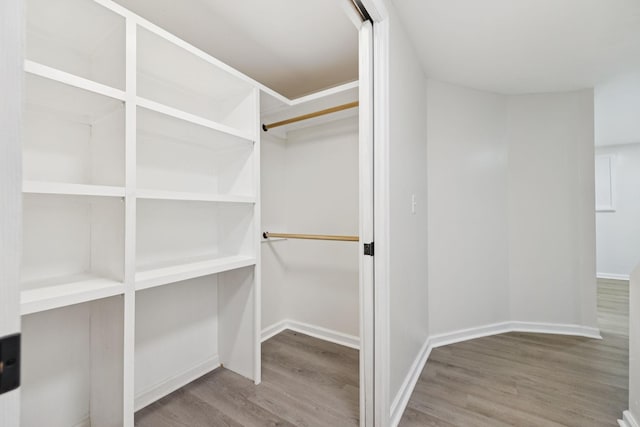 415 Porter Cir, Columbia, TN 38401 - walk in closet featuring wood finished floors
