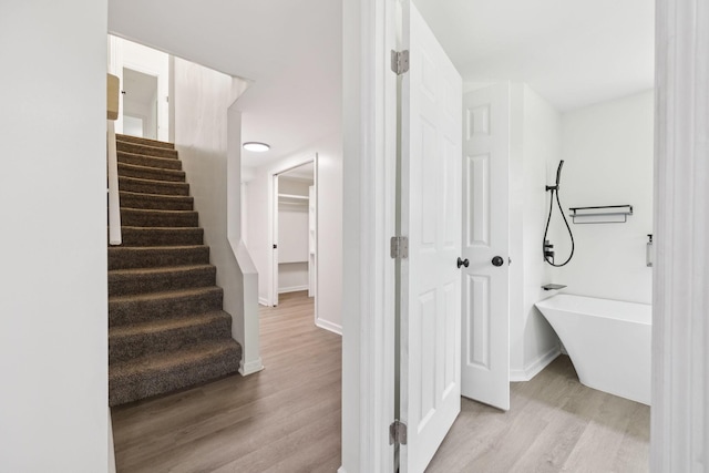 415 Porter Cir, Columbia, TN 38401 - corridor with light wood-style floors and stairs
