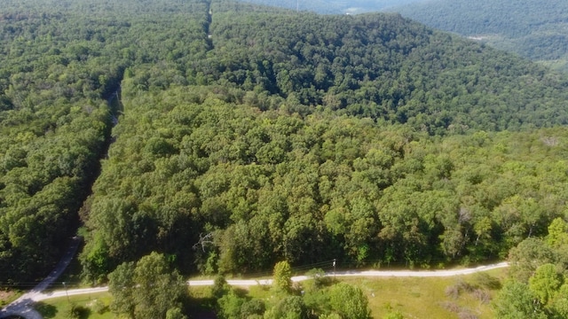 0 Partin Farm Rd, Tracy City, TN 37387 - photo 5