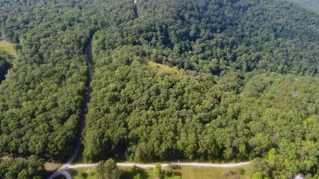 0 Partin Farm Rd, Tracy City, TN 37387 - photo 7