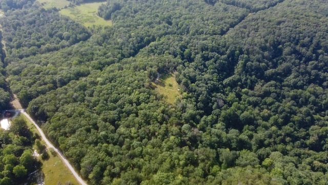 0 Partin Farm Rd, Tracy City, TN 37387 - photo 1