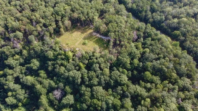 0 Partin Farm Rd, Tracy City, TN 37387 - photo 6