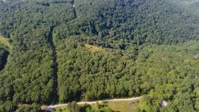 0 Partin Farm Rd, Tracy City, TN 37387 - photo 3