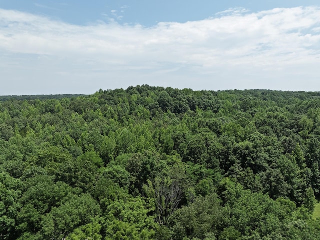 0 Batson Rd, Cumberland Furnace, TN 37051