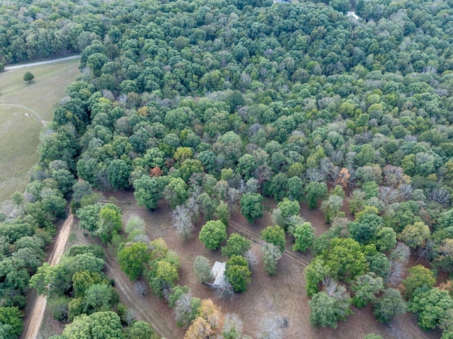 5500 Old Nashville Hwy, Mc Ewen, TN 37101 - photo 4