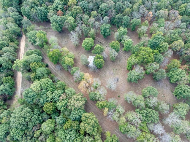 5500 Old Nashville Hwy, Mc Ewen, TN 37101 - photo 9