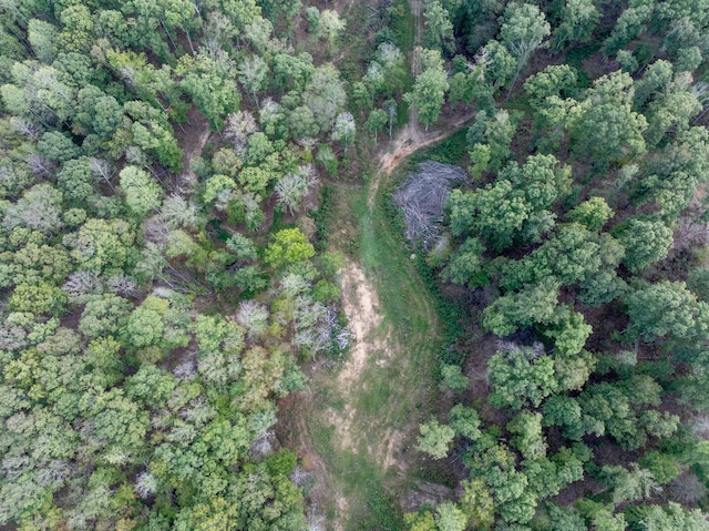 5500 Old Nashville Hwy, Mc Ewen, TN 37101 - photo 19