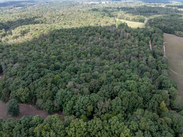 5500 Old Nashville Hwy, Mc Ewen, TN 37101 - photo 8
