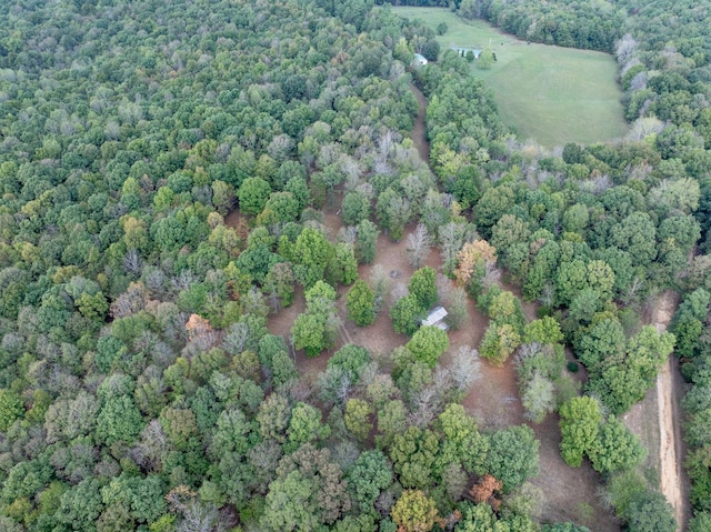 5500 Old Nashville Hwy, Mc Ewen, TN 37101 - photo 23