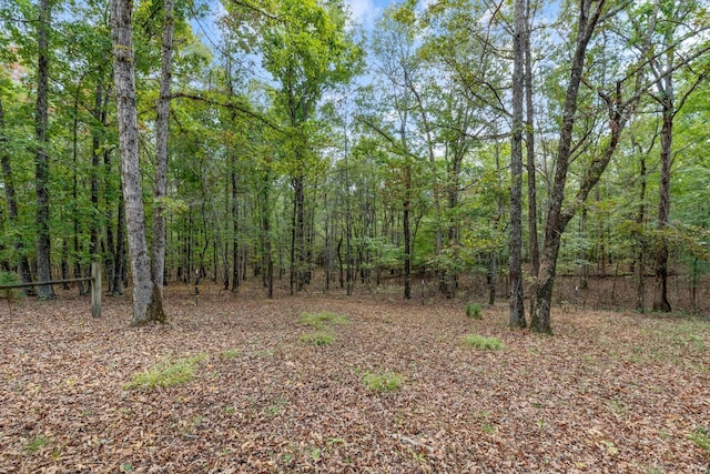 5500 Old Nashville Hwy, Mc Ewen, TN 37101 - photo 28