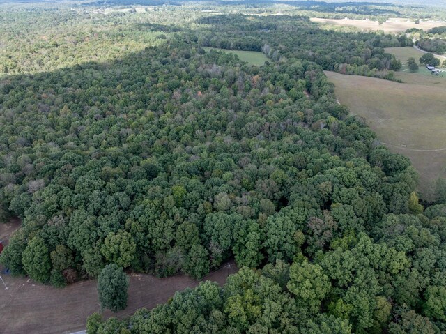 5500 Old Nashville Hwy, Mc Ewen, TN 37101 - photo 16