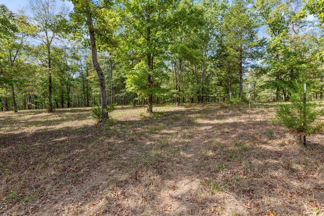 5500 Old Nashville Hwy, Mc Ewen, TN 37101 - photo 17