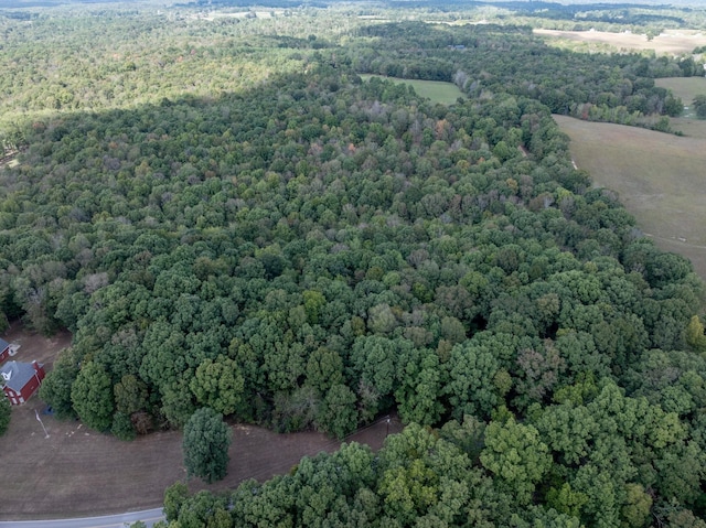 5500 Old Nashville Hwy, Mc Ewen, TN 37101 - photo 2