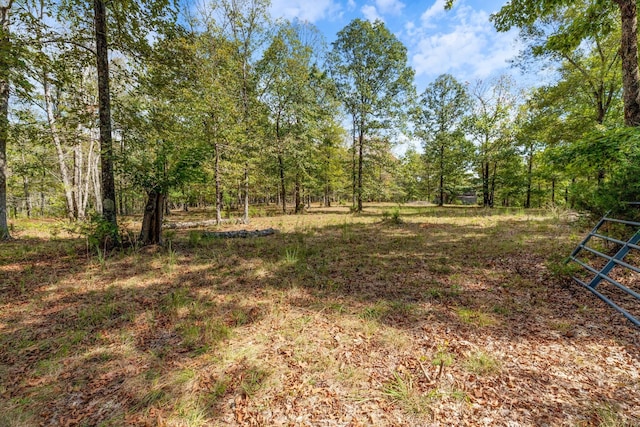 5500 Old Nashville Hwy, Mc Ewen, TN 37101 - photo 11