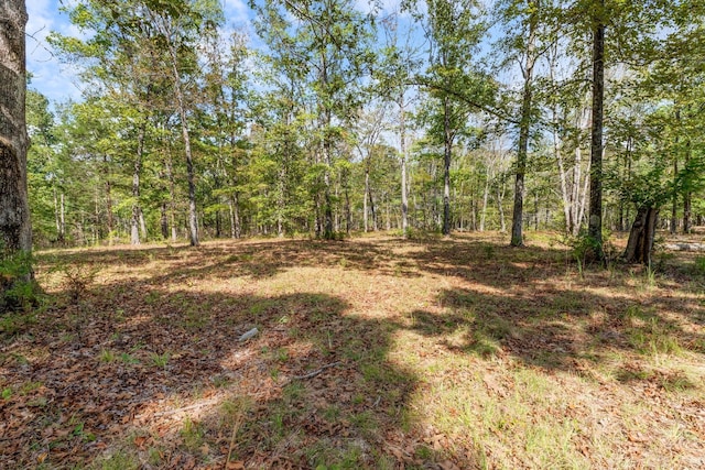 5500 Old Nashville Hwy, Mc Ewen, TN 37101 - photo 12