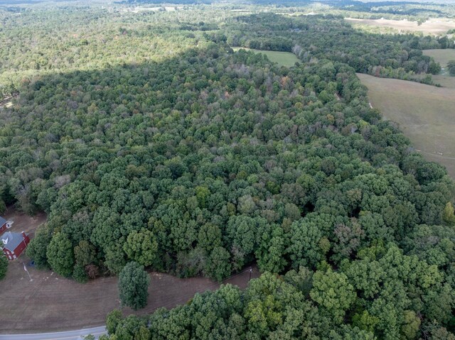 5500 Old Nashville Hwy, Mc Ewen, TN 37101 - photo 30