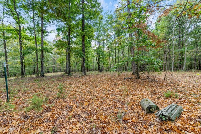 5500 Old Nashville Hwy, Mc Ewen, TN 37101 - photo 21