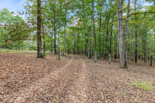 5500 Old Nashville Hwy, Mc Ewen, TN 37101 - photo 3