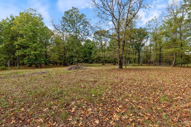 5500 Old Nashville Hwy, Mc Ewen, TN 37101 - photo 22