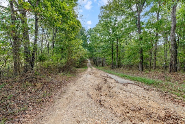 5500 Old Nashville Hwy, Mc Ewen, TN 37101 - photo 1
