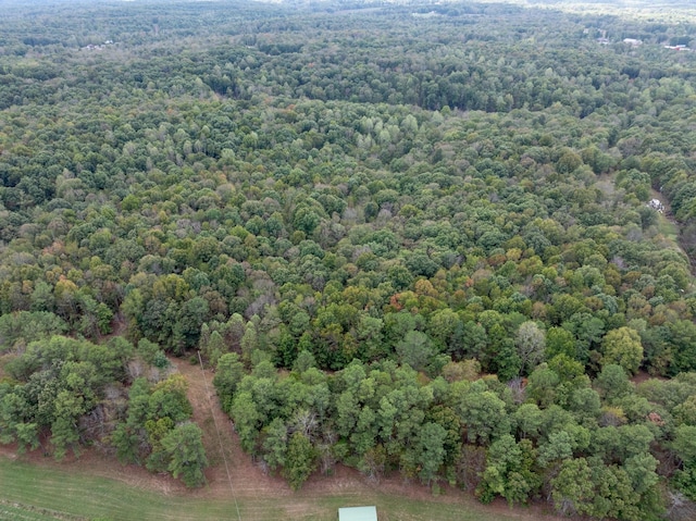 5500 Old Nashville Hwy, Mc Ewen, TN 37101 - photo 10