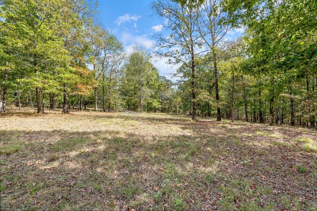 5500 Old Nashville Hwy, Mc Ewen, TN 37101 - photo 6