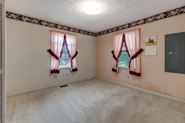 303 Furnace Hollow Rd, Dickson, TN 37055 - spare room with electric panel, a textured ceiling, and carpet flooring