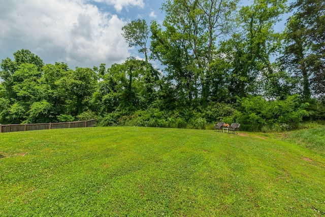588 Davis Valley Dr, Columbia, TN 38401 - view of yard