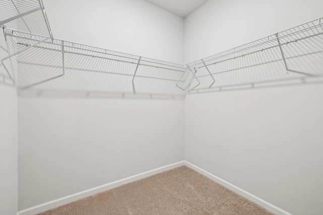 8044 Typhani Way, White House, TN 37188 - spacious closet featuring carpet