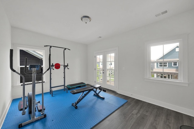 373 Hammock Ln, Spring Hill, TN 37174 - workout room featuring dark wood-type flooring and french doors