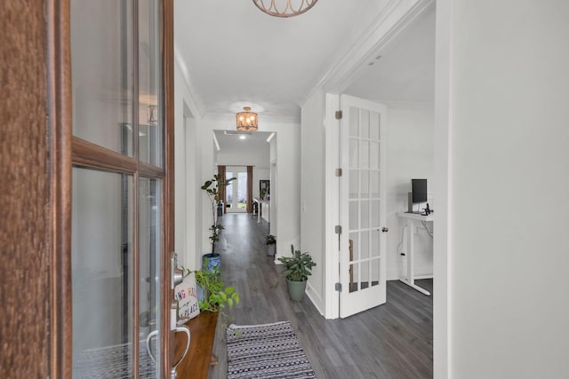 373 Hammock Ln, Spring Hill, TN 37174 - corridor featuring ornamental molding, dark wood finished floors, and french doors