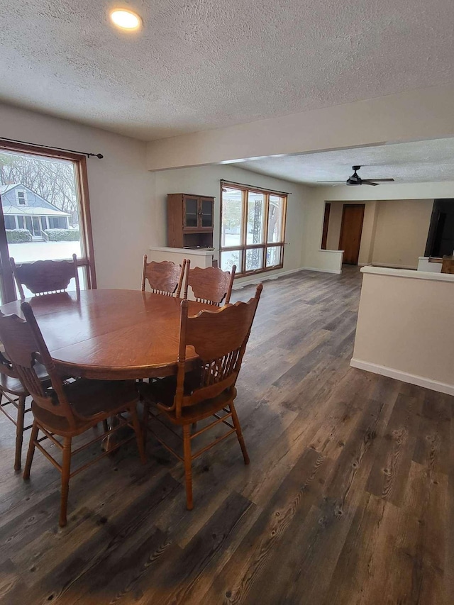233 W Chestnut St, Puryear, TN 38251 - dining area with a textured ceiling, dark wood-style floors, healthy amount of natural light, a ceiling fan, and recessed lighting