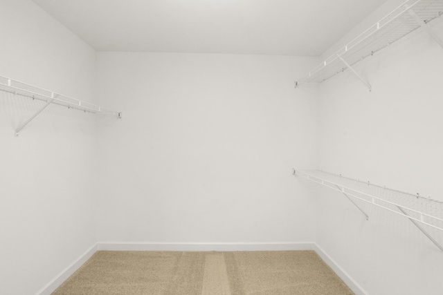 4026 Rampart Way, Spring Hill, TN 37174 - spacious closet featuring carpet floors