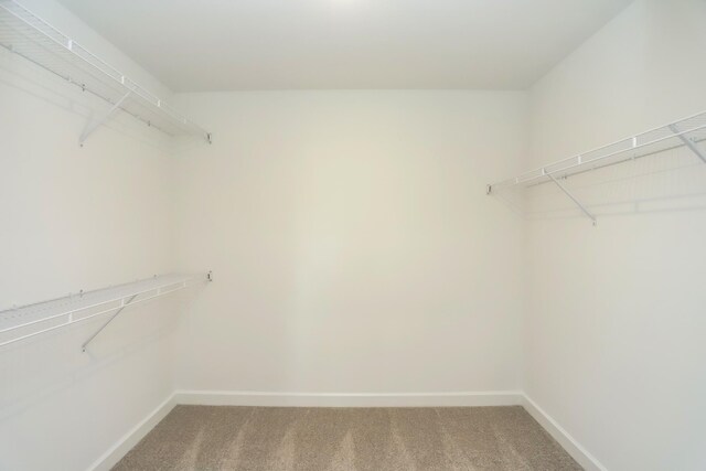 4020 Rampart Way, Spring Hill, TN 37174 - spacious closet with carpet floors