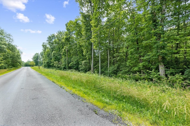 1008 War Eagle Dr, Crossville, TN 38572 - photo 8