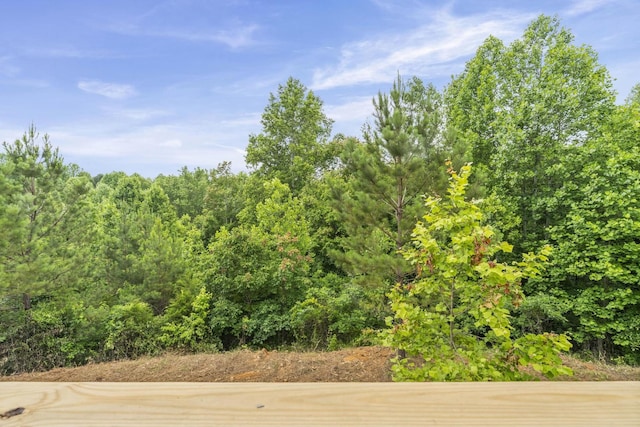 300 Luna Ln, Sparta, TN 38583 - photo 24