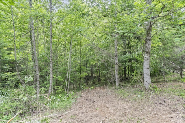 300 Luna Ln, Sparta, TN 38583 - photo 3