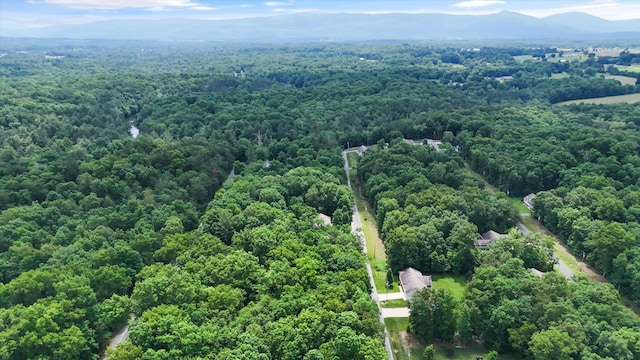 7023 Chief White Eagle Ln, Crossville, TN 38572 - photo 4