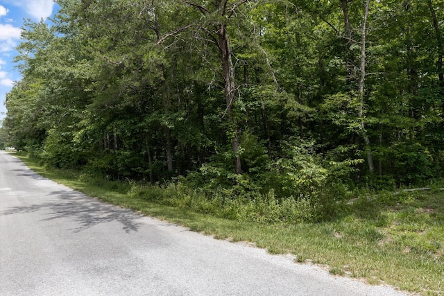 7023 Chief White Eagle Ln, Crossville, TN 38572 - photo 11