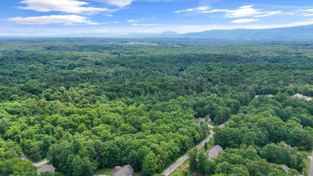 7023 Chief White Eagle Ln, Crossville, TN 38572 - photo 5