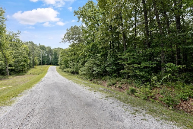 6110 Pocahontas Ln, Crossville, TN 38572 - photo 10