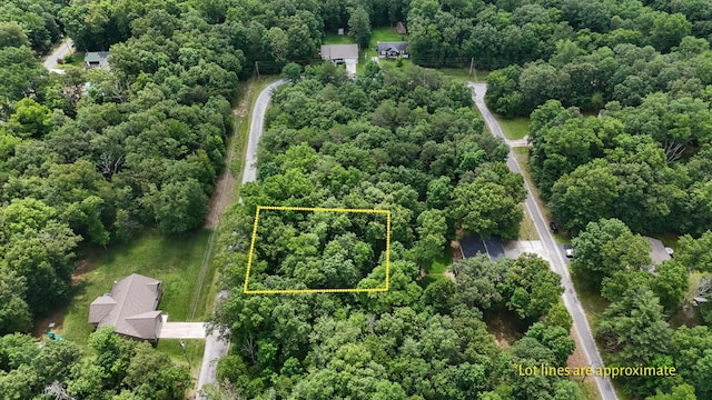 6110 Pocahontas Ln, Crossville, TN 38572 - photo 1