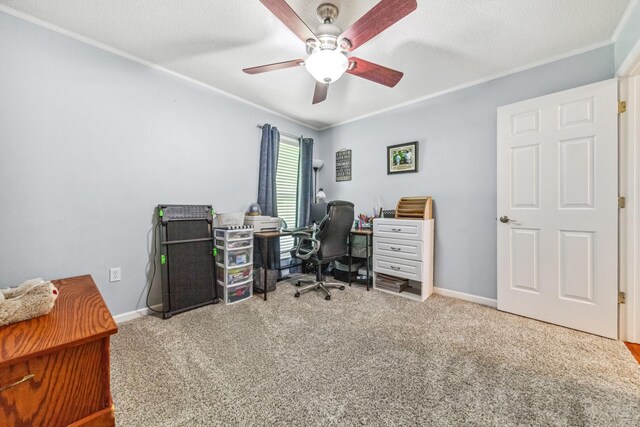 2655 Mooresville Hwy, Lewisburg, TN 37091 - photo 24