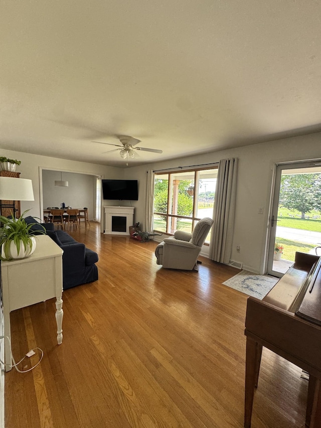 625 College Ave E, Carthage, TN 37030 - living room featuring a ceiling fan, plenty of natural light, wood finished floors, and a fireplace